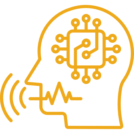 Natural Language Processing (NLP)
